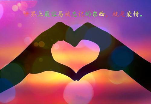 林翩然沈昭南免费阅读 八零肥女带崽逆袭，外交官跪求复合小说最新章节列表