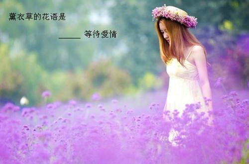 凤疏棠玄霁盼儿小说笔趣阁最新章节 凤疏棠玄霁知乎小说