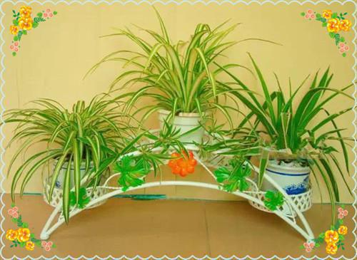 晨昏线下的我们：+后续+结局(陆棠傅初霁)全文在线免费阅读无弹窗大结局_(晨昏线下的我们：+后续+结局陆棠傅初霁)晨昏线下的我们：+后续+结局在线阅读无弹窗最新章节列表全文阅读(陆棠傅初霁)