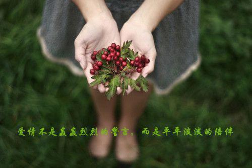 周衡唐墨傅莹免费阅读 小白脸上错链接,9.9把公司卖垮知乎周衡唐墨傅莹