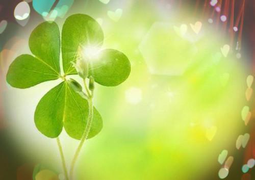 陈妃雪陆寒源陈念薇最新章节列表 陈妃雪陆寒源小说最新章节列表