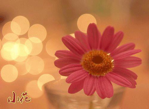 池棠沈砚知笔趣阁 秋风瑟瑟送离人免费阅读小说