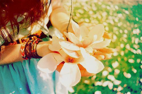 文秀笔趣阁 过年我用猪饲料宴请催婚亲戚免费阅读