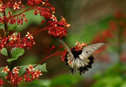 宋冉冉宋清菡宋建国沈婉怡的小说叫什么 我重生换妈后，爱和我雌竞的姐姐悔疯了完整版