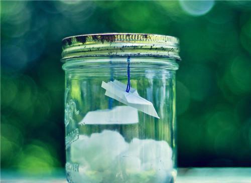 唐雨周行的小说叫什么 雨木代号小说唐雨周行免费阅读