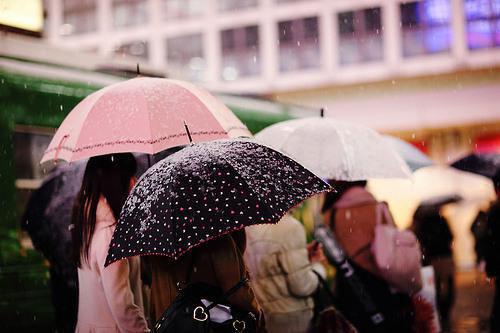 卢晚黎林士宏卢晚棠最新章节内容 重生后换亲,前夫他悔疯了:后续笔趣阁