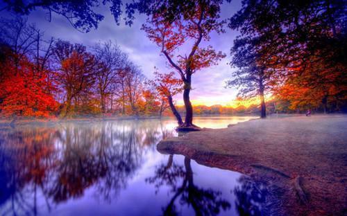 江南晨苏月李城小说免费阅读最新章节 出狱后，诬陷我的妻子和小助理悔疯了短篇小说