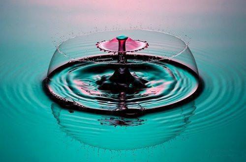 阮梨谢行凛的最新章节小说 情火焚尽相思绝免费阅读