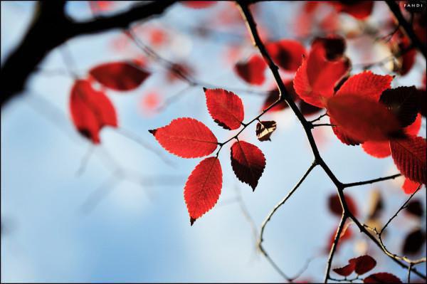 我难产死后第三天，老公要求退还彩礼(桑梨谢景书)小说完整版_最新热门小说我难产死后第三天，老公要求退还彩礼(桑梨谢景书)