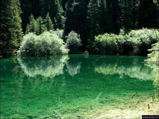 池烨顾季安小说名 早说你喜欢我啊免费阅读池烨顾季安小说