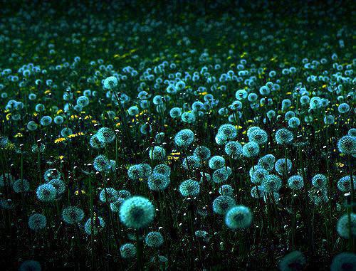 江荞许肆川苏念周聿是哪部小说 隐婚三年：绝症日她烧了婚戒笔趣阁