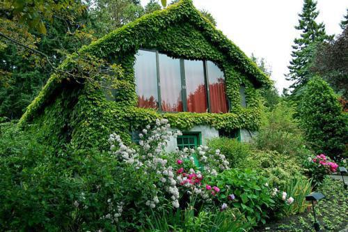 我妹妹陈林周正的最新章节更新时间 不负春光免费阅读全文