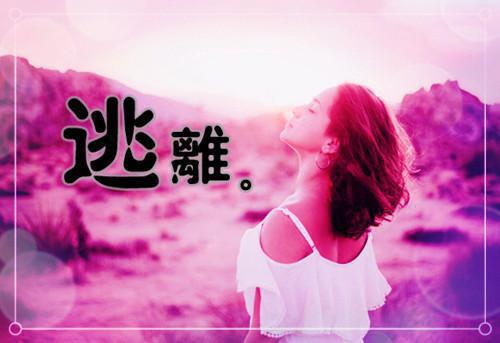 沈沐宋斯珩小说名 沈沐宋斯珩完整版