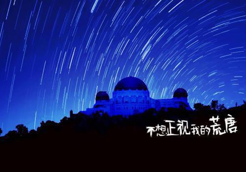 林芷沈晏白小蕊免费阅读最新章节 老公要为亡母守墓五年,我直接离婚未删减小说