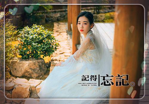 沈若嫣魏湛柳清月的小说叫什么 沈若嫣魏湛柳清月全文最新更新内容