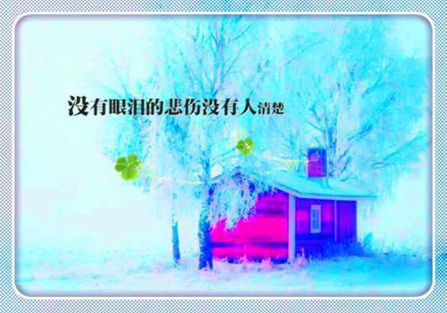 沈霖苏清沅顾明轩最新章节更新时间 蔷薇覆墙：后续免费阅读全文