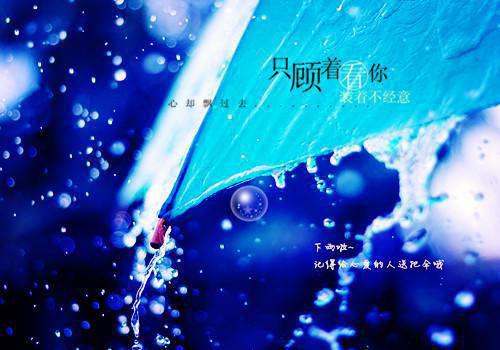 虞向晚谢矜珩最新章节列表 飞鸟归时回南天笔趣阁