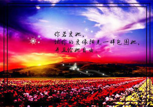 全文+番外沈照霜宁砚小说无广告在线阅读_沈照霜宁砚《谢尽长安花沈照霜:精心打造》小说在线免费阅读_笔趣阁(沈照霜宁砚)