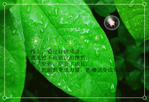 盛若雪最新章节列表 阿姐死后,我替她杀穿了后宫小说全文免费