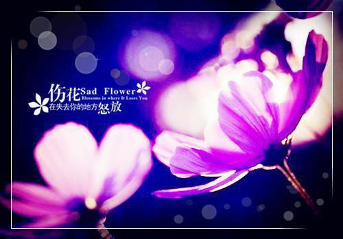 蒋语顾临泽最新章节更新时间 机长老公让小助理带着我妈表演飞行特技后，他悔疯了免费阅读小说