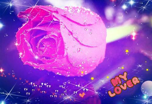 宋云月顾牧珩小说叫什么名字 宋云月顾牧珩完整版