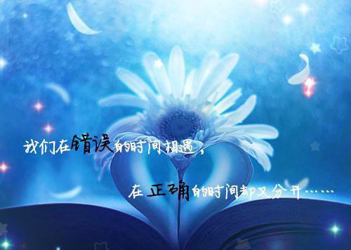 桑予歆严绥之全文免费桑予歆严绥之在线阅读全文