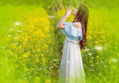 沈倦书江念柚免费阅读最新章节 江念柚沈倦书沈倦书江念柚全文