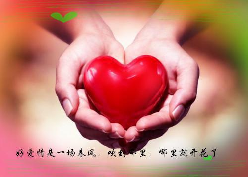 顾景行沈溪月萧砚辞最新章节列表 女儿孝顺婆家，却要我付钱：后续小说免费阅读全文最新章节