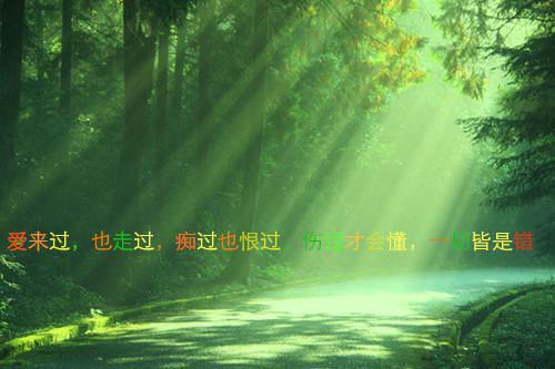 苏沅沈郁小说免费阅读 命定Alpha苏沅沈郁小说