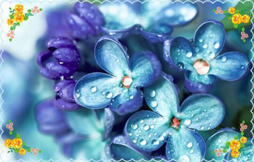 许昭意顾临川小说免费阅读最新章节 曾照孤心一片雪知乎许昭意顾临川