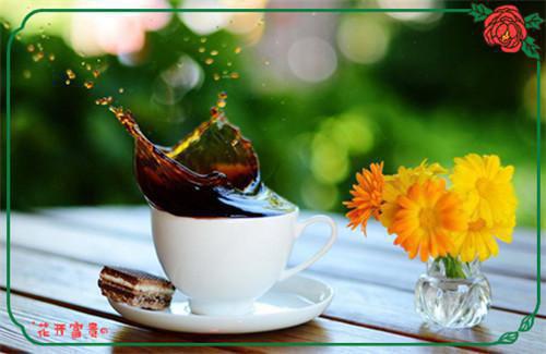 姜早傅砚辞小说免费阅读 玫瑰宁死不折枝免费阅读姜早傅砚辞小说