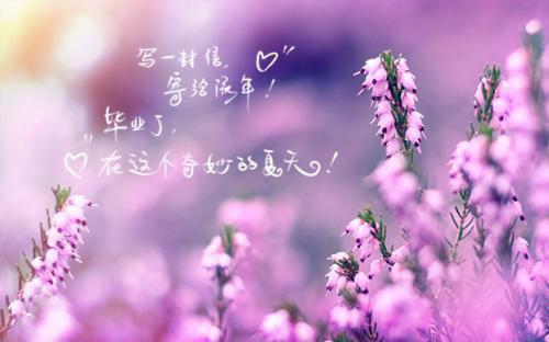 商泓宇阮汐苏眠什么关系 阮汐商泓宇小说全文免费