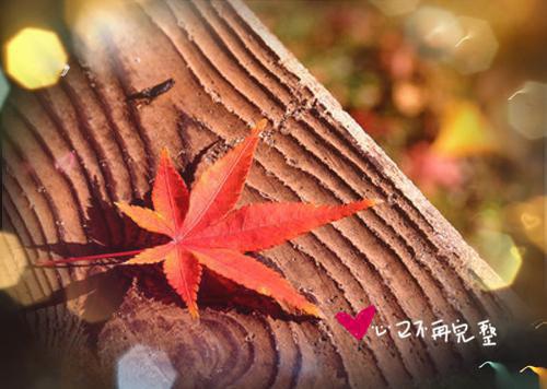 珍珍赵乐贤小说名 准婆婆怀孕两月，却在订婚后才说结局