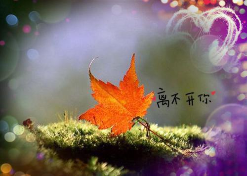 郁禾林以深是哪部小说 迟来的深情：她嫌脏了知乎小说