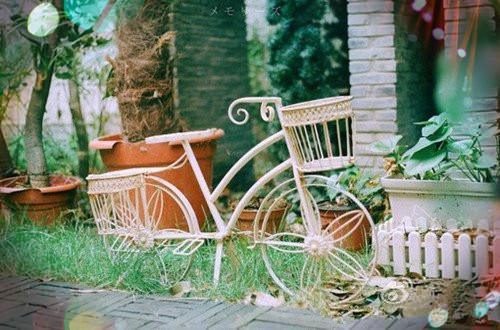 贺敬辞江若初小说免费阅读最新章节 江若初贺敬辞全文免费阅读