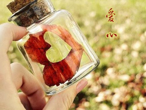 舒书裴修赫舒予白虞婉小说彩蛋(予你一封修书：番外)震撼上线舒书裴修赫舒予白虞婉的内心纠葛与转变。