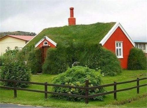 陆瑾丞江云意免费阅读 江云意陆瑾丞小说完整版免费