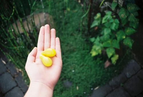 林晓张伟最新章节列表 职场,我反手录音,让草包主管滚蛋笔趣阁