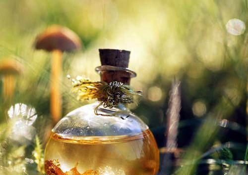 周芸韩秀兰高志虎最新章节列表 被拐失忆二十八年，农妇背景惊人最新章节免费阅读