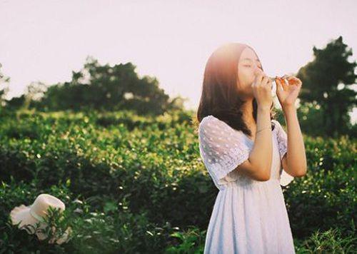 沈惊澜谢玄寂小说名 惊澜敛尽与君绝：后续男主沈惊澜谢玄寂小说