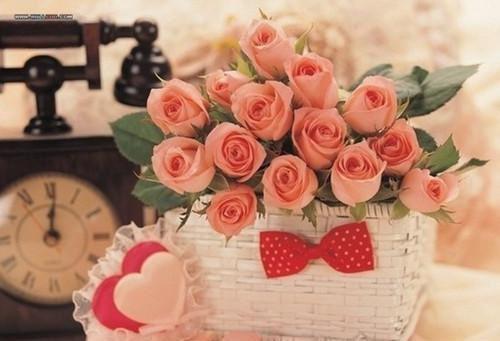 妈妈把我锁进烤箱三天三夜后,她悔疯了顾念昭月陆泽最新全本小说_妈妈把我锁进烤箱三天三夜后,她悔疯了(顾念昭月陆泽)章节列表