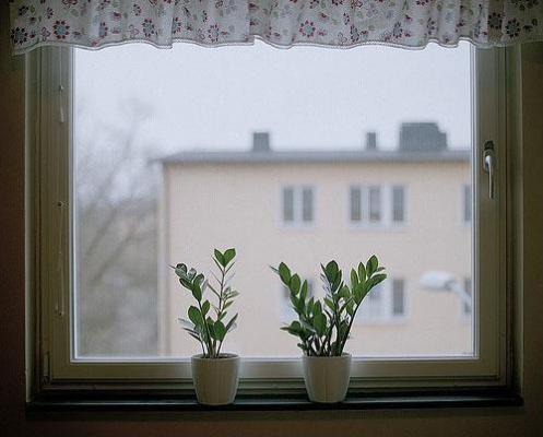 林既燃姜莱苏糖小说叫什么名字 救赎反派进行时!后续全文免费阅读