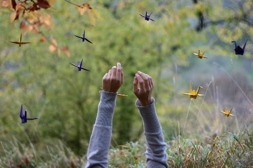 季宴桉周周最新章节内容 哥哥你要捧杀我？后续季宴桉周周小说