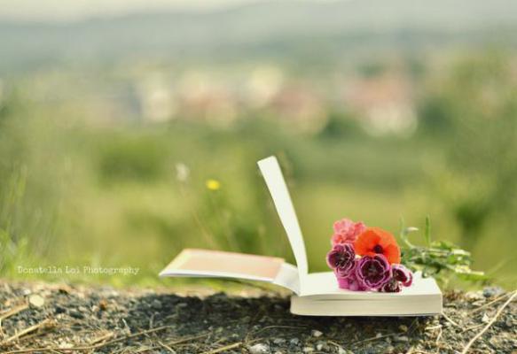 陈兮陆寻安林双双叫什么小说 长安尽头无故人小说免费阅读全文最新章节