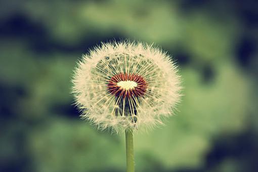 林北陈卓方蓝蓝小说免费阅读 分红200万,到账250元小说全文阅读