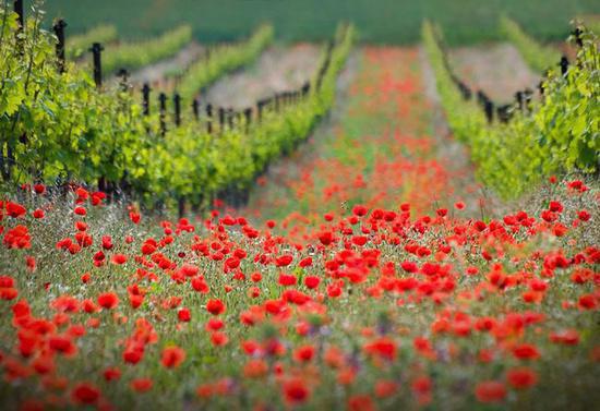 全本闻夏裴叙白（闻夏裴叙白小说）全文免费阅读无弹窗大结局_(闻夏裴叙白)最新章节列表_笔趣阁（闻夏裴叙白小说）