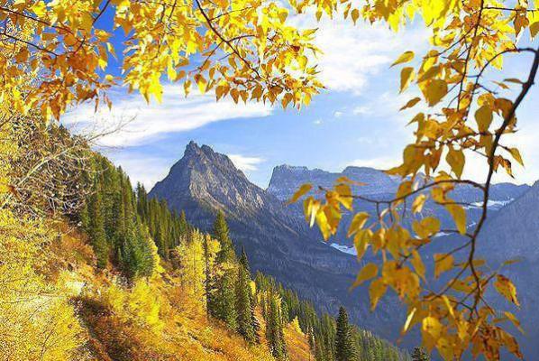 祝诗言周序白妍小说笔趣阁最新章节 十天后，我从他面前一跃而下祝诗言周序白妍全文