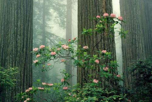 我陆之渊小说 乡音魅魔小说正版阅读