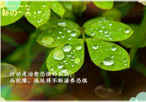 曲舒兰裴丞姜若芷赵怀安小说名字 林月舒兰免费阅读全文