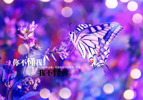 沈倦书江念柚笔趣阁 江念柚沈倦书小说全文免费